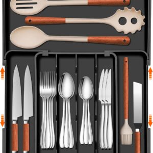 spaclear silverware organizer